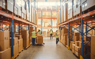 Everything You Need to Know About Warehouse Management